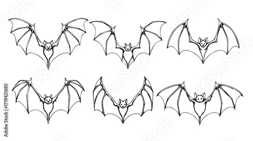 Six detailed outline drawings of bats in flight with wings spread open silhouette