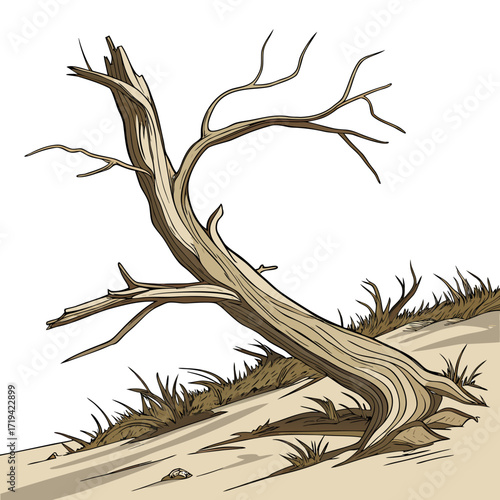 A solitary dead weathered tree trunk lies on a sandy slope with dry grass and shadows