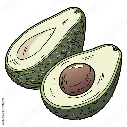 Hand drawn illustration of a ripe avocado cut in half revealing its creamy flesh and large brown seed