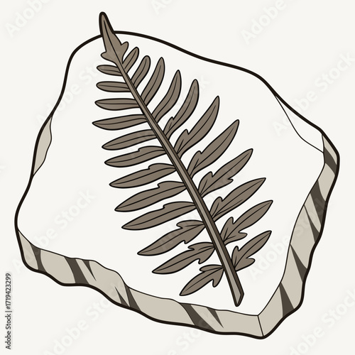 Illustration of a fossilized fern leaf imprint embedded in a stone slab with a light background
