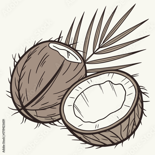 Stylized illustration of a whole coconut and a halved coconut with a palm frond on a light background