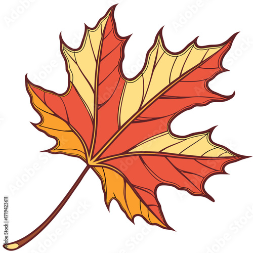 Stylized illustration of a vibrant red and yellow maple leaf with dark outlines on a white background