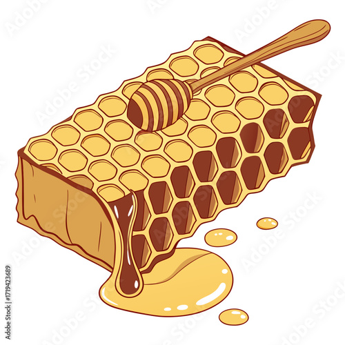 Sweet golden honeycomb dripping with honey and a wooden dipper resting on top