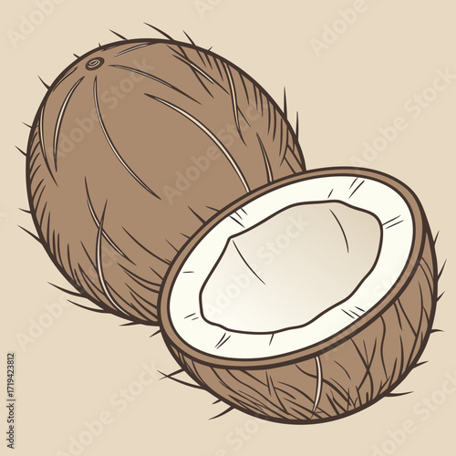 Whole and halved coconut illustration with a simple brown and beige color palette
