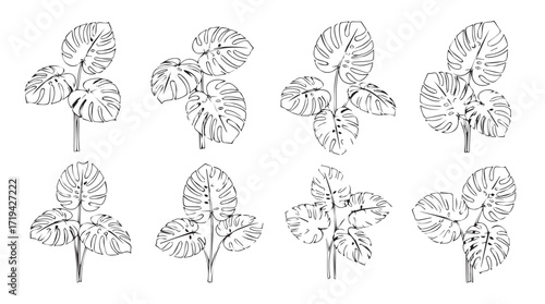 Set of delicate botanical line drawings of strawberry plants for natural design elements silhouette