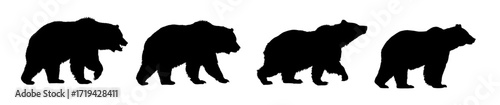 Set of brown bear silhouettes - vector illustration
