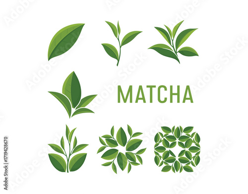 Matcha tea icon collection, featuring green leaves from trees and plants in different shapes, along with text representing matcha