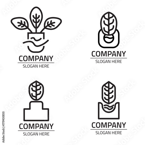 Hydroponic spinach vegetable vector logo or icon