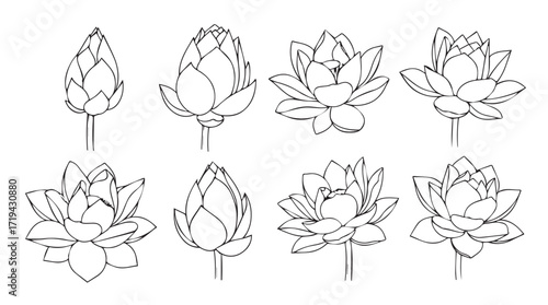 Artichoke floral botanical sketches collection for decorative and artistic design projects silhouette