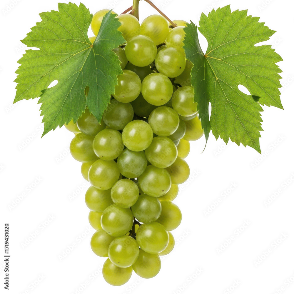 Obraz premium Green grapes with leaves isolated on transparent background