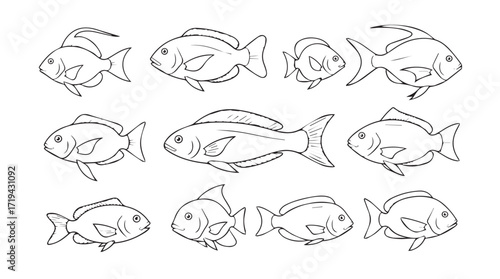 Collection of hand drawn line art goldfish icons and illustrations in various poses silhouette