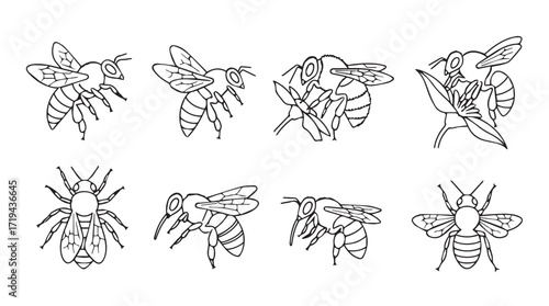 Set of honeybee icons in diverse poses demonstrating nature's pollinators and insect life silhouette