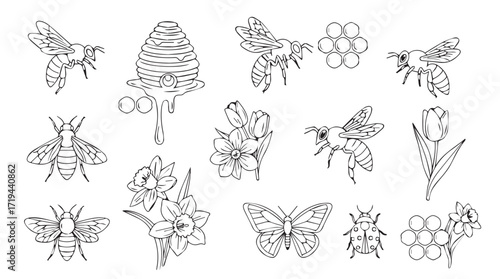 Hand drawn whimsical bee butterfly flower hive floral elements collection silhouette