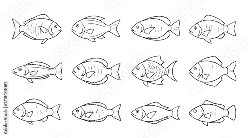 Set of twelve sketchy goldfish illustrations various poses aquatic life drawing silhouette
