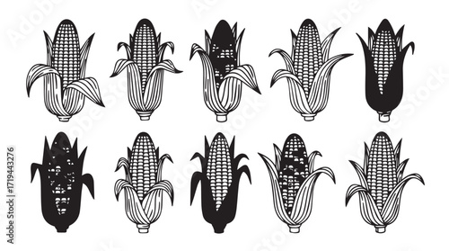 Ten ripe corn cob illustrations in a row displaying diverse husk and kernel textures silhouette