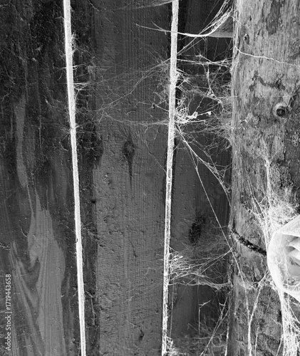 A room abandoned by man, covered with a layer of dust, cobwebs and flies