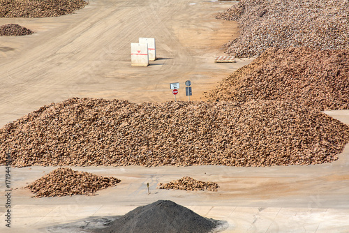 Critical minerals for modern and future technology