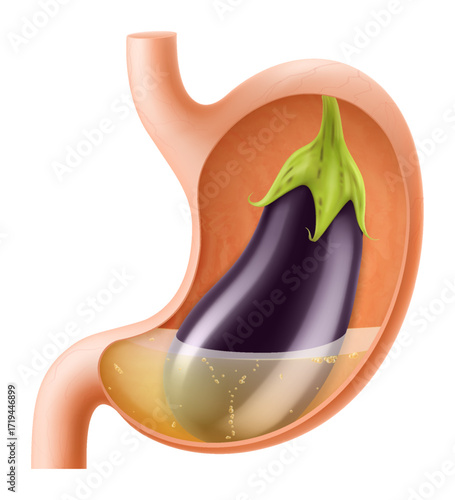 Human Stomach with eggplant. The stomach digests aubergine. A stomach filled with healthy and wholesome food. Proper nutrition. Realistic 3d Vector illustration. Food digestion process illustration