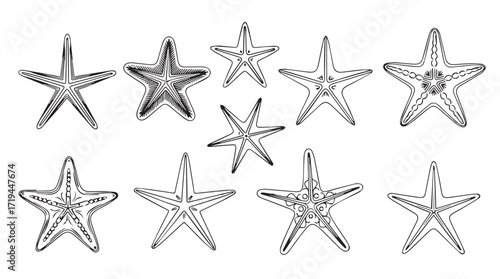 Collection of hand drawn sketch style starfish shapes for marine themed designs silhouette