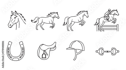 Equestrian set horse head gallop jump saddle horseshoe helmet bit line art collection silhouette