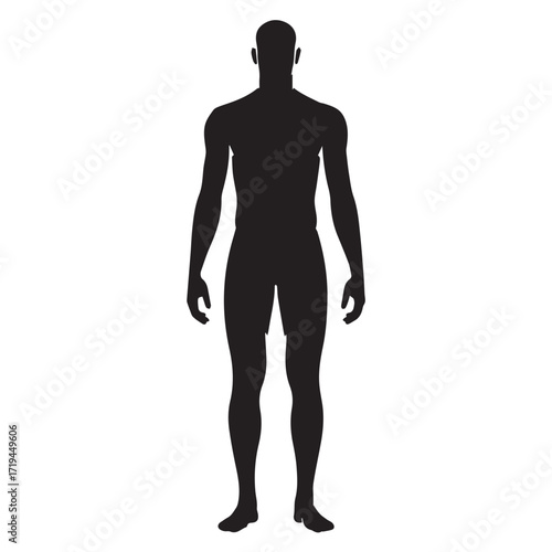 Full Body Skeleton Outline Illustration"