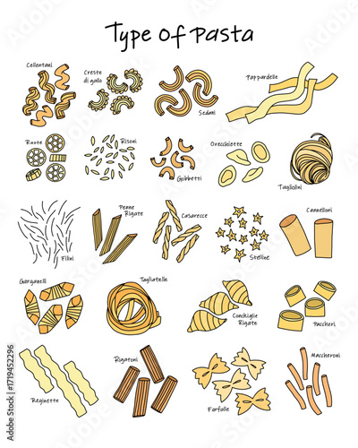 Poster with italian pasta of different shapes and sizes, pasta collection for printing and decor