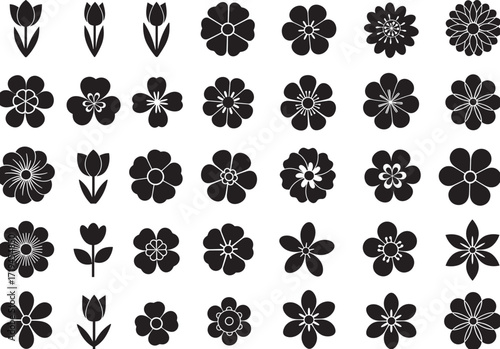 Flower icons collection, floral silhouette design, nature vector symbols, spring blossom illustration, decorative petals, botanical elements, garden art, ornamental patterns