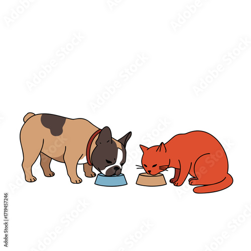 French bulldog and red cat eat together from bowls on the floor, isolated on white background  