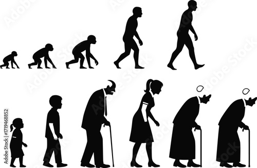 Black silhouette illustration of human evolution and aging stages, from primate to elder, for biology, education, and timeline design themes.