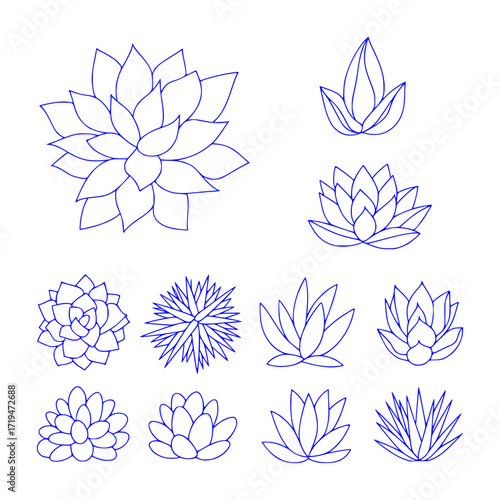Collection of Blue Line Art Succulent Plant Illustrations on White Background