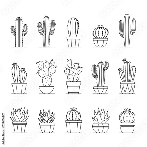 Vector illustration of assortment of potted cacti and succulents in black outline on a, showcasing various species and shapes