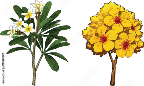 Tropical frangipani tree with white flowers, vibrant hibiscus tree with yellow blossoms, exotic garden landscape, summer nature, floral beauty, paradise