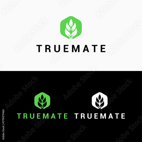 Creative Modern Logo Design – Vector Illustration