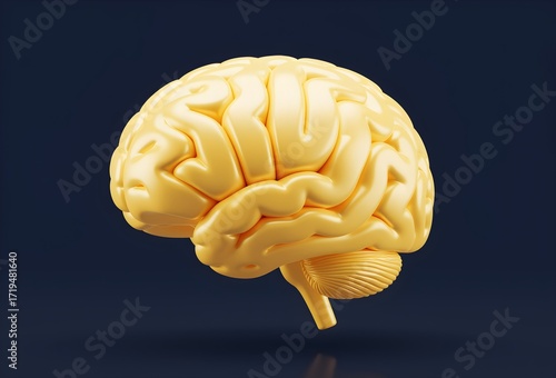 Wallpaper Mural 3d rendered human brain illustration on white background. Torontodigital.ca