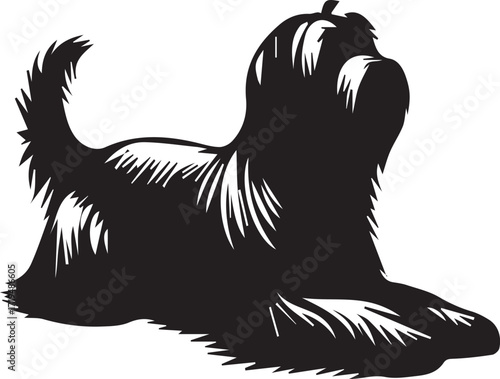 Briard Dog in Black and White – Elegant French Herding Breed Photography
