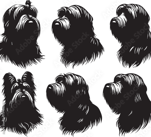 Briard Dog in Black and White – Elegant French Herding Breed Photography