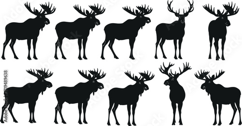 Black moose silhouettes collection with large antlers, wildlife animal vector illustration set for nature, forest, hunting, outdoor, Canadian themed design