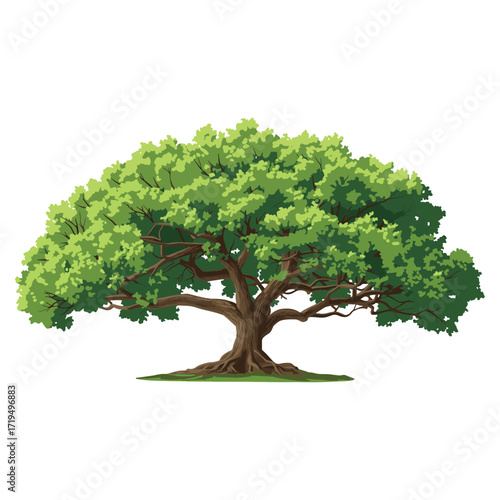 A magnificent, wide-spreading old tree with a massive trunk and a dense green canopy, symbolizing strength and longevity. vector illustration