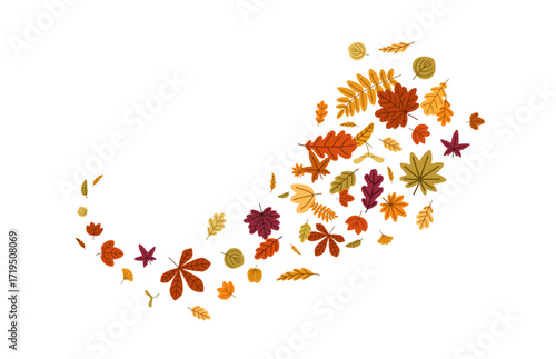 Fall leaves flying in air. Autumn foliage in motion, swirl, twirl, whirl shape. Dry leaf falling. Botanical natural seasonal decoration. Flat vector illustration isolated on white background.