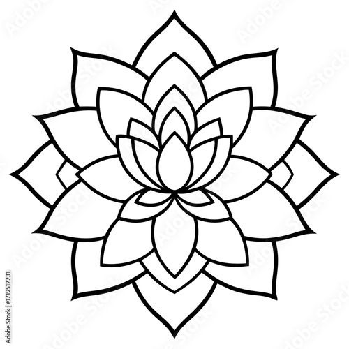 A detailed line art coloring page for adults, featuring an abstract wild floral pattern in the style of a Mandela design
