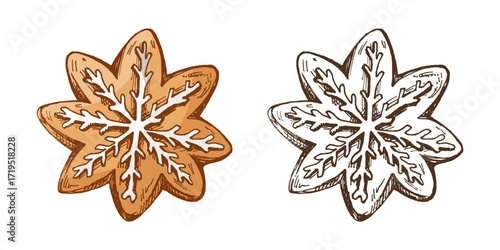 Hand drawn vintage sketch set of gingerbread cookie snowflake with icing decoration in color and monochrome
