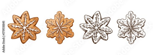 Hand drawn vintage sketch set of christmas gingerbread cookies snowflakes with white icing in color and monochrome vector illustration