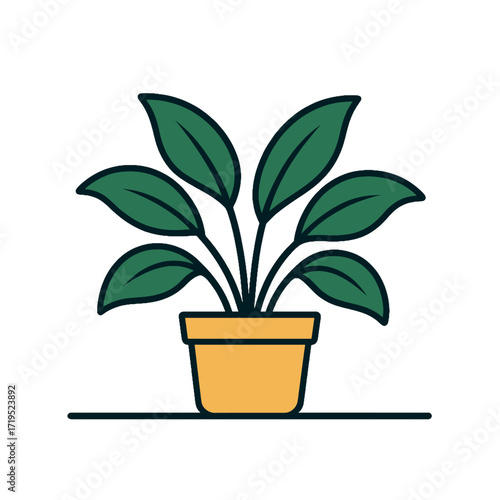 Potted plant green leaves home decor indoor plant nature growth.