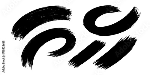 Vector illustration of a woman's black and white eyes with long, fashionable eyelashes