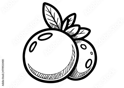 Hand-drawn illustration of two cranberries with leaves  