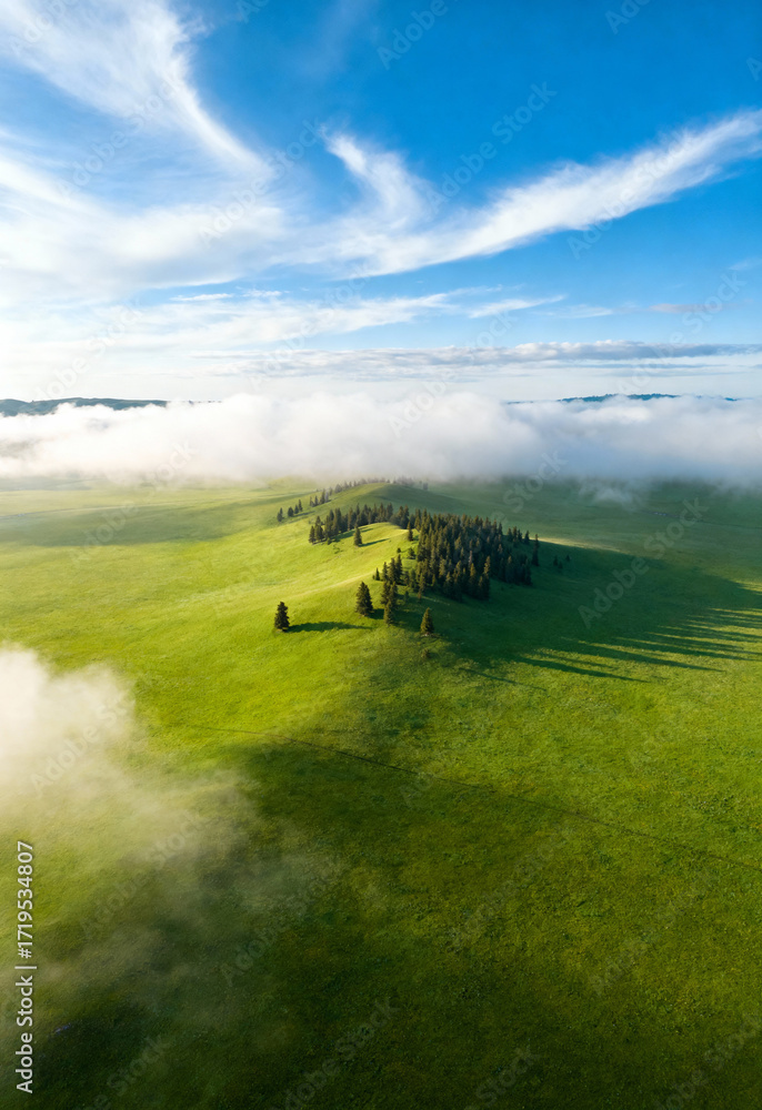 Fototapeta premium Lush green hills, dense trees, morning fog, clear blue sky.
