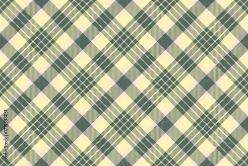 Lady pattern fabric seamless, professional tartan texture textile. Trend background vector check plaid in pastel and light colors.