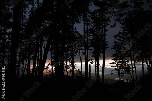 山から見る景色