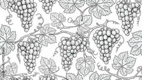 A detailed, hand-drawn illustration of ripe bunches of grapes intertwined with lush green leaves and delicate tendrils on a vine, presented in a repeating pattern.