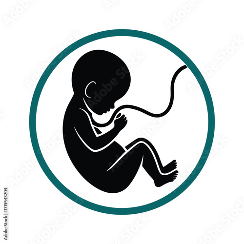 Silhouette of a fetus with umbilical cord inside a circle isolated on white background